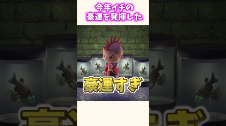 やばすぎ！！こんなに釣れるの！？！？【あつ森】
