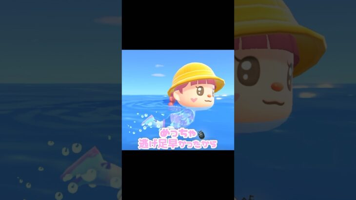 深海のダンゴムシと陸のダンゴムシ…？！？！#あつ森 #どうぶつの森 #あつまれどうぶつの森  #どう森 #ダンゴムシ