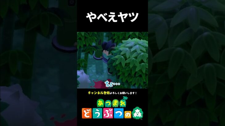 【あつ森】ヤバい奴が追いかけてくるホラー島が怖すぎる