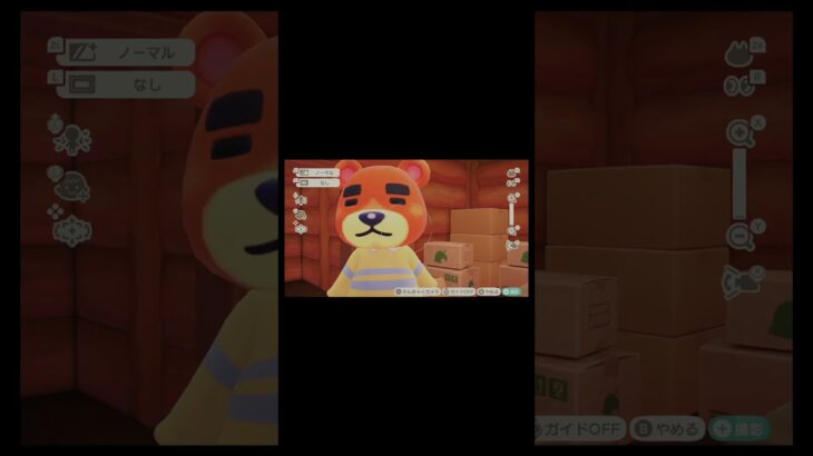 【あつ森】ハピパラゲーム実況🏠たいへいた君の別荘作り🌱いつまでも引越し中風＃あつ森＃ハピパラ