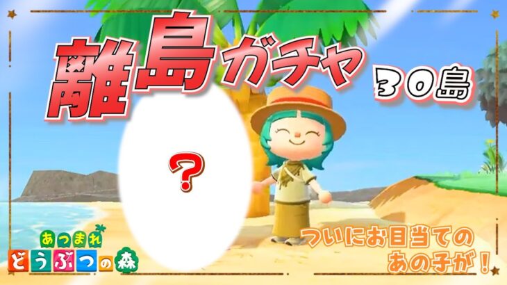 【あつ森】ついにあの住民さんが…！！離島ガチャ３０島で奇跡が起こりました✨＃１１８