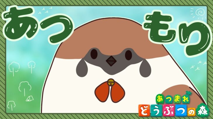 【あつ森】初見さん大歓迎！まったり雑談しながら島生活！