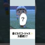 【あつ森】島クリ中におきた奇跡…！？🐟