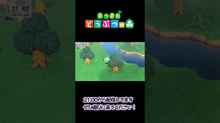 木陰にちゃちゃまるがいた    #あつ森#あつまれどうぶつの森#ゲーム実況#ゲーム