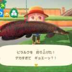 【あつ森】のんびり雑談