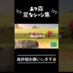 あつ森の変なシーン集#あつ森 #高評価お願いします #人気になりたい #おすすめにのりたい #つぴまよと仲間たち