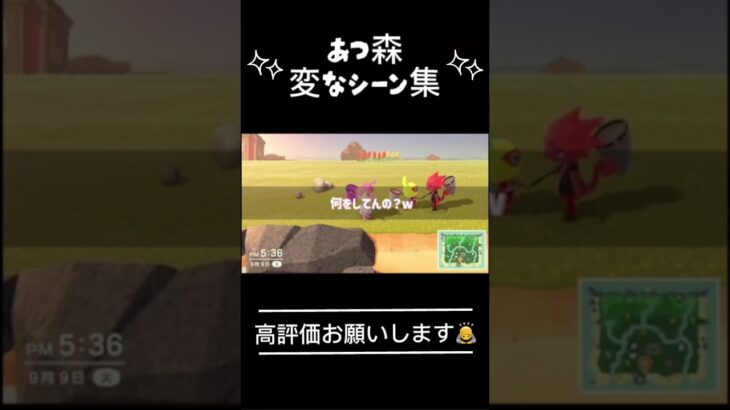 あつ森の変なシーン集#あつ森 #高評価お願いします #人気になりたい #おすすめにのりたい #つぴまよと仲間たち