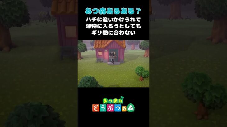 あつ森あるある？ハチ編