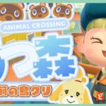 【あつ森】マイデザなしで作る飛行場前の島クリエイト