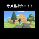 ついにきた‼#あつ森️