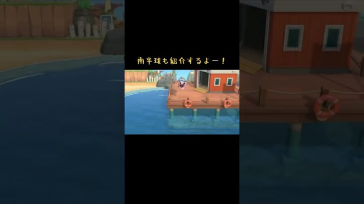 #あつまれどうぶつの森 #あつ森 #どうぶつの森 #小ネタ #海の幸 #チャンネル登録と高評価お願いします