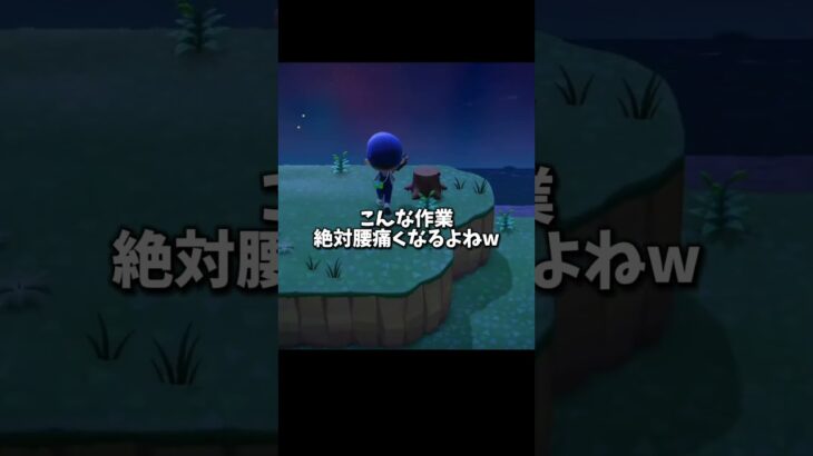 離島を更地にしてみたら……【あつ森】