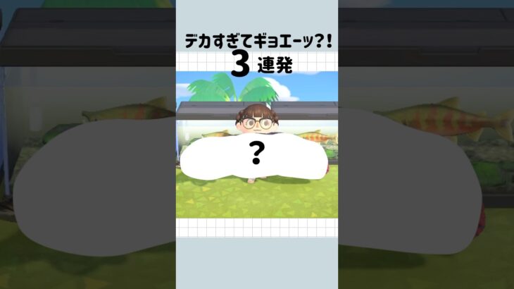 【あつ森】巨大魚に遭遇！？