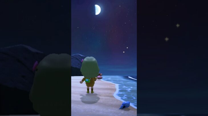 あつ森の夜の月