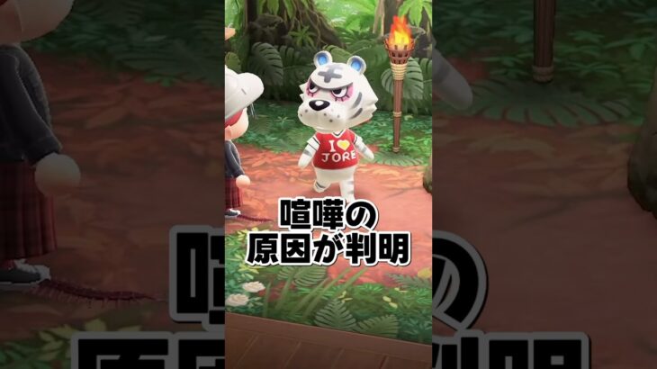 【#あつ森 】コワイ系住民同士の喧嘩は殴り合いになる事が判明🐯🦍島民代表モテモテ疑惑♥️#あつまれどうぶつの森 #どうぶつの森