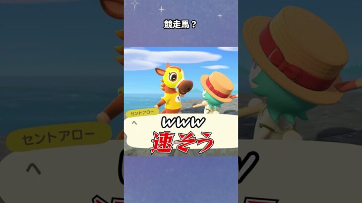 【あつ森】離島で競馬！？ #あつ森  #離島ガチャ #女性ゲーム実況