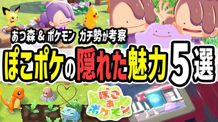 【ぽこあポケモン】ポケモン版あつ森！？ぽこポケの隠された魅力を解説！メタモン主人公のスローライフを考察【ニンダイ】