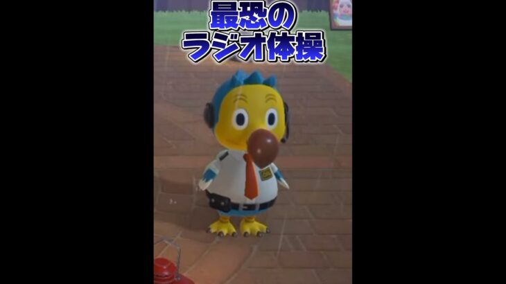 【あつ森】せっかく誕生日やったのに・・・
