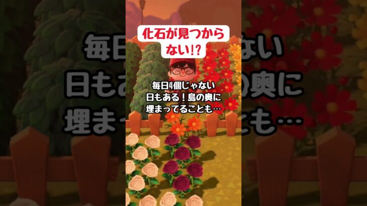 【あつ森】🦴化石が見つからない日の秘密
