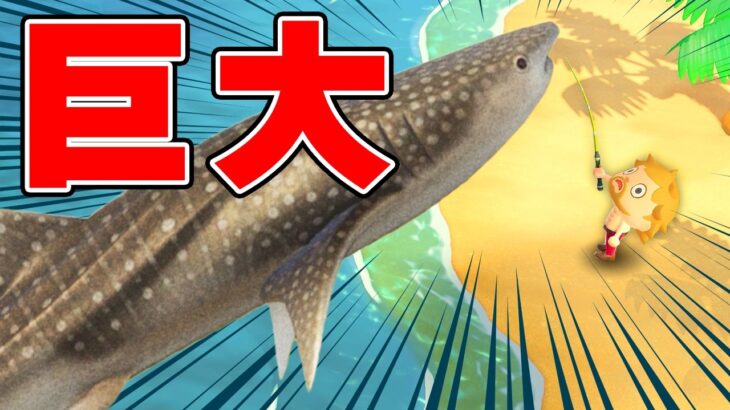 【あつまれ どうぶつの森】超巨大な生物だらけのビンゴ対決！！