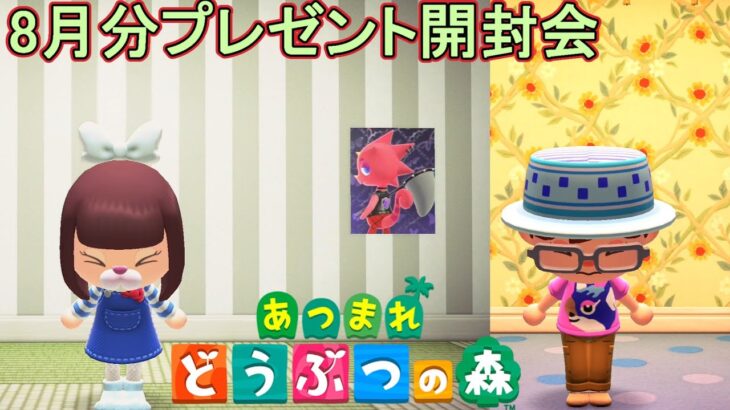 【あつまれどうぶつの森/あつ森】交流会にて皆様からいただいた素敵なプレゼント開封行っていきます🎁【生配信】