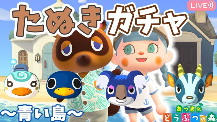 【あつ森】たぬきガチャしまくる｜たぬきちお仕事です｜ライブ【あつまれどうぶつの森】
