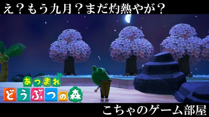 お久しぶりです森に帰ってきました【あつ森】