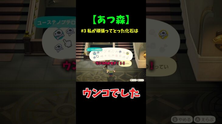 【あつ森】　私が頑張ってとった化石はウンコでした…