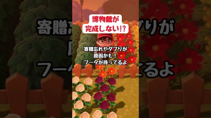【あつ森】🏛博物館が完成しないワケ