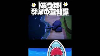 【あつ森】サメの豆知識🦈みんなは知ってた？#あつ森#サメ #つぴまよ#高評価お願いします #高評価ポチッとお願いします #ゲーム実況 #ゲーム #実況