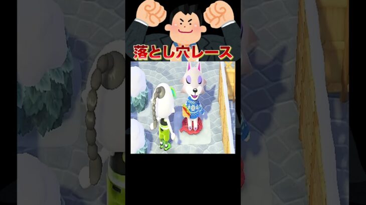 最速住民決定❗️冬季落とし穴デスレース🏇⛄️#あつ森 #落とし穴レース