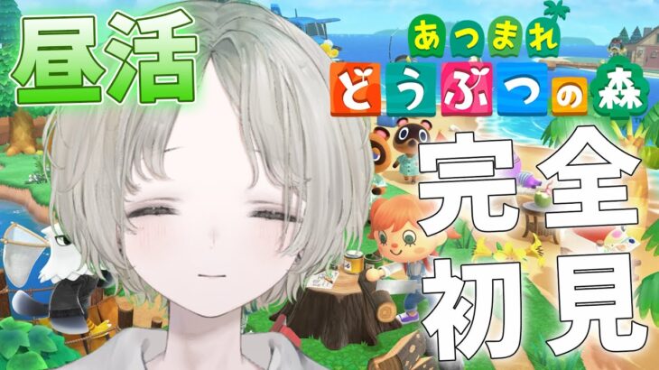 【あつ森】完全初見！昼活でまったりのんびりしていきましょう 初見歓迎【可夢ヰみふう/あつまれ どうぶつの森】