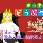 【朝活】あつ森、最初からやる