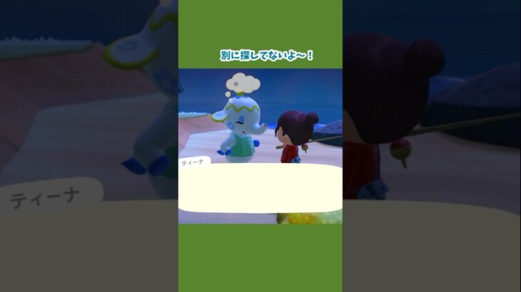 【あつ森】風のウワサは信じていけないと条例出したい #あつ森 #あつ森日記 #あつまれどうぶつの森