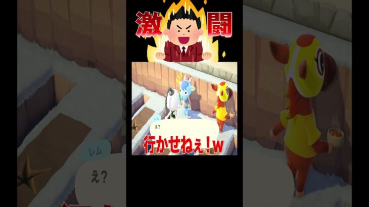 最速住民決定戦の準備🪏🚧#あつ森 #落とし穴レース