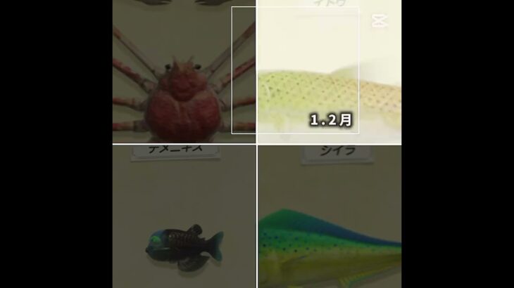 あつ森どれが一番獲れやすい時期