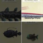 あつ森この共通点は？