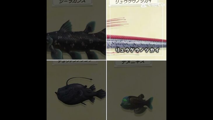 あつ森この共通点は？