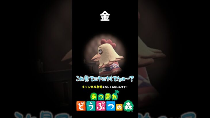 【あつ森】大金だけが置いてある部屋