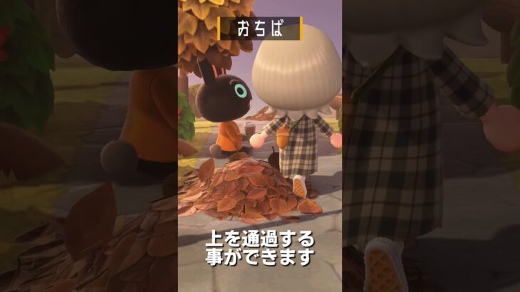 【あつ森】家具図鑑│色々なおちば🍂