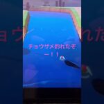 あつ森チョウザメを釣れたぞー！