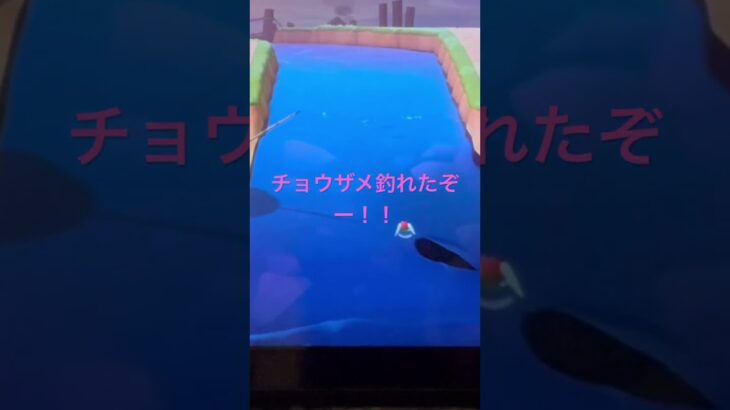あつ森チョウザメを釣れたぞー！