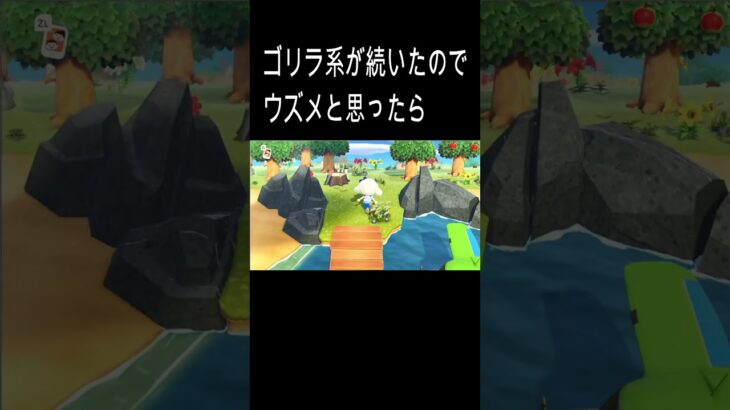 【あつ森離島ガチャ】人気住民きました♪#あつ森#あつ森ジャック
