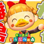【あつ森】離島ガチャ✈️あの子を探して猛ダッシュします！