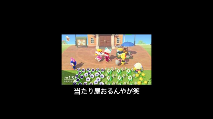 当たり判定でかすぎんか？#あつ森 #あつまれどうぶつの森 #ぞう#元気