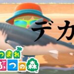 【あつまれ どうぶつの森】博物館を見に行こう！