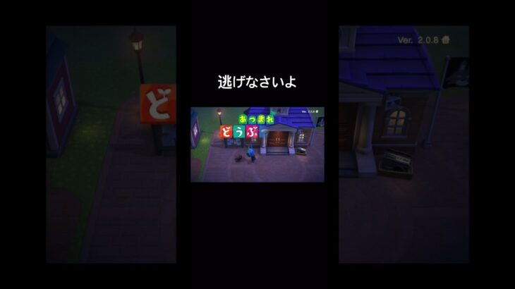 【あつ森】始まり方ヤバすぎる