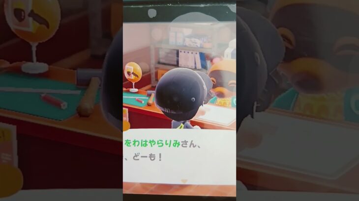 あつ森してみたー！頑張るぞー！
