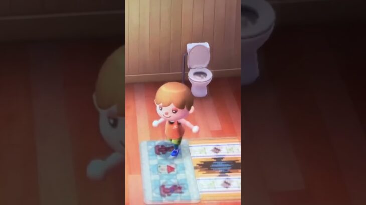 #あつまれどうぶつの森 #あつ森生活