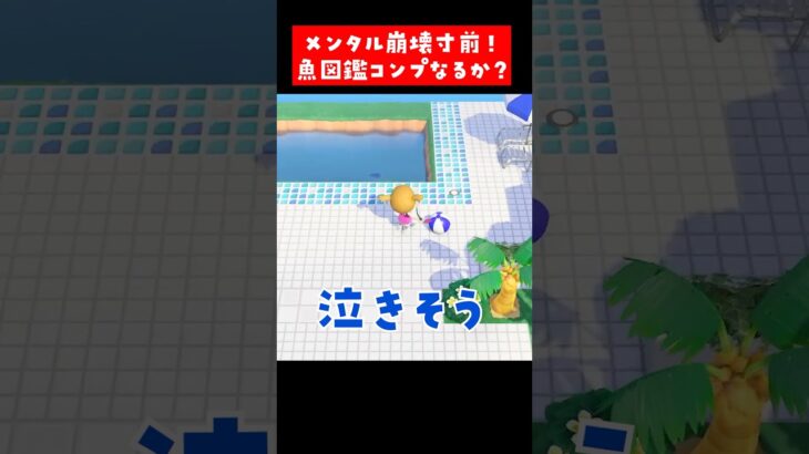 【あつ森】メンタル崩壊寸前😭魚図鑑コンプリートなるか？ #あつ森 #あつまれどうぶつの森